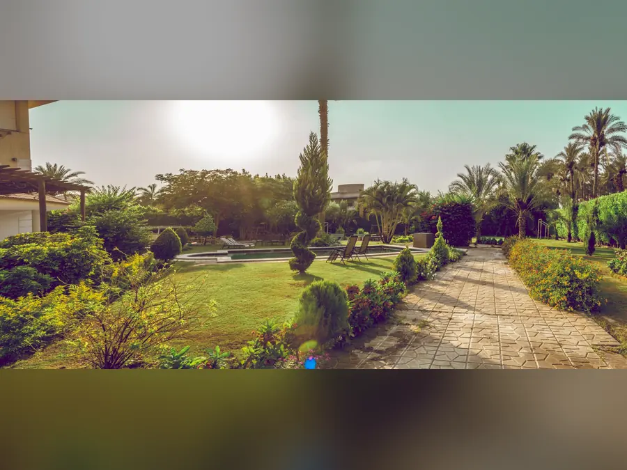 صورة 3 من أجواء المكان